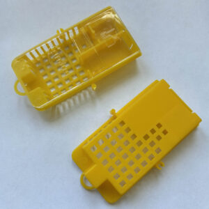 Queen Introduction Cages