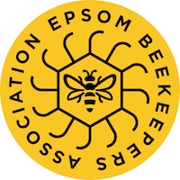 Gloves Disposable Boxed - Mixed Brands