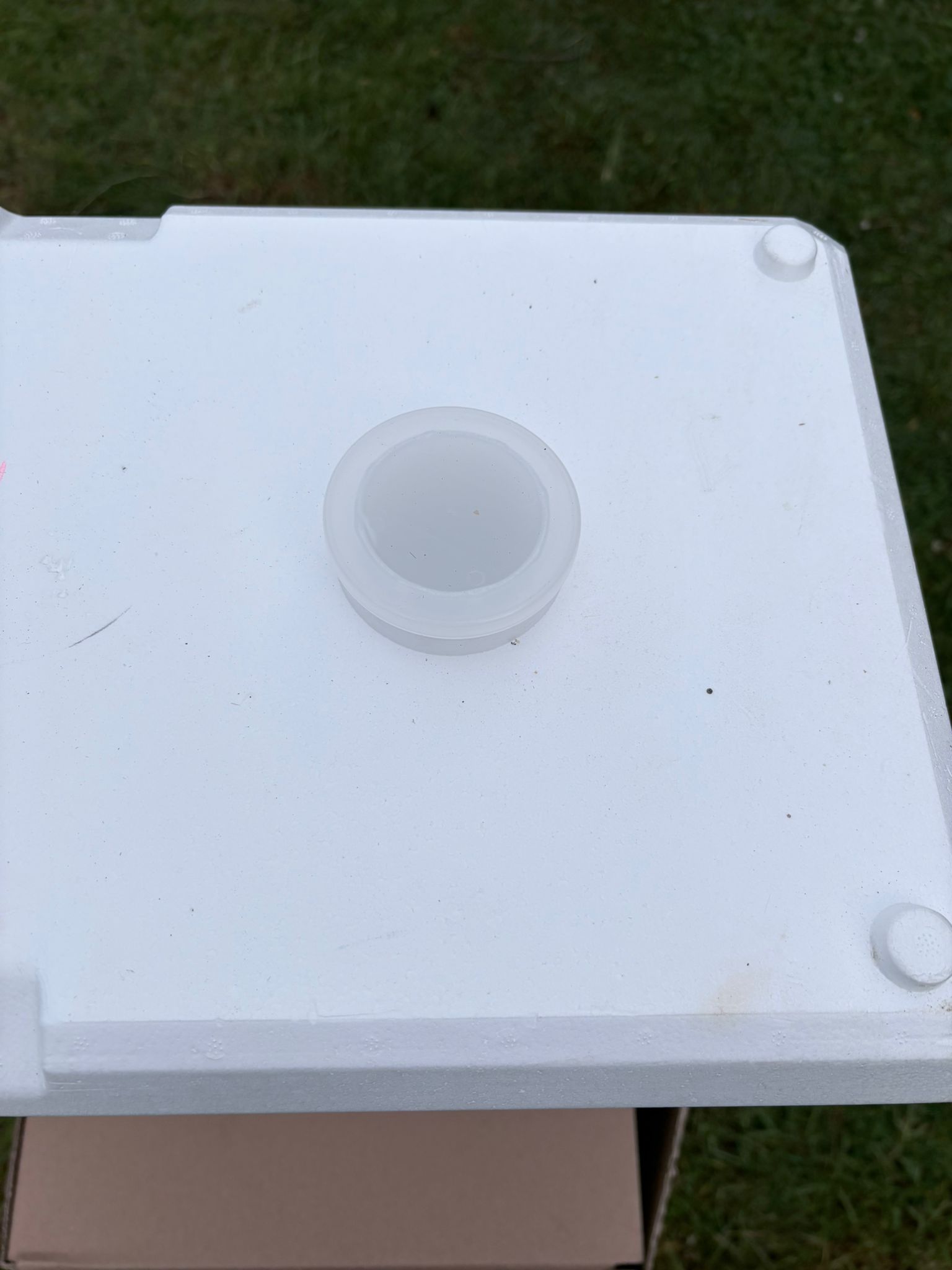 DSM Polynuc, National and Langstroth Nuc box - Flat packed - Image 4