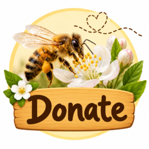 Donate to EBKA
